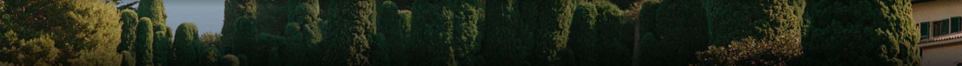 Terms and conditions image